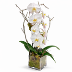 Load image into Gallery viewer, Orchids
