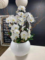 Load image into Gallery viewer, Orchids
