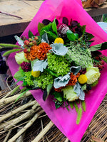 Load image into Gallery viewer, Designer&#39;s Choice
